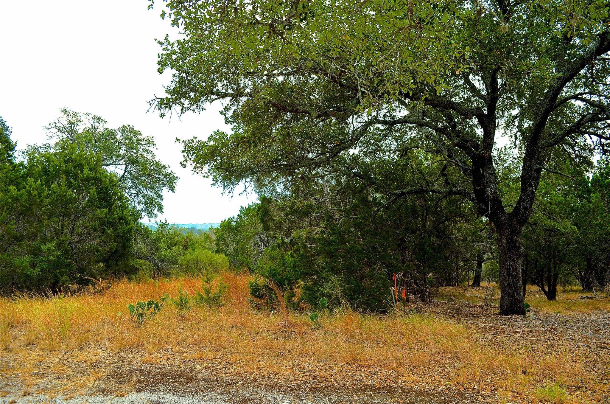Horseshoe Bay, TX 78657,K12104 Custers CIR