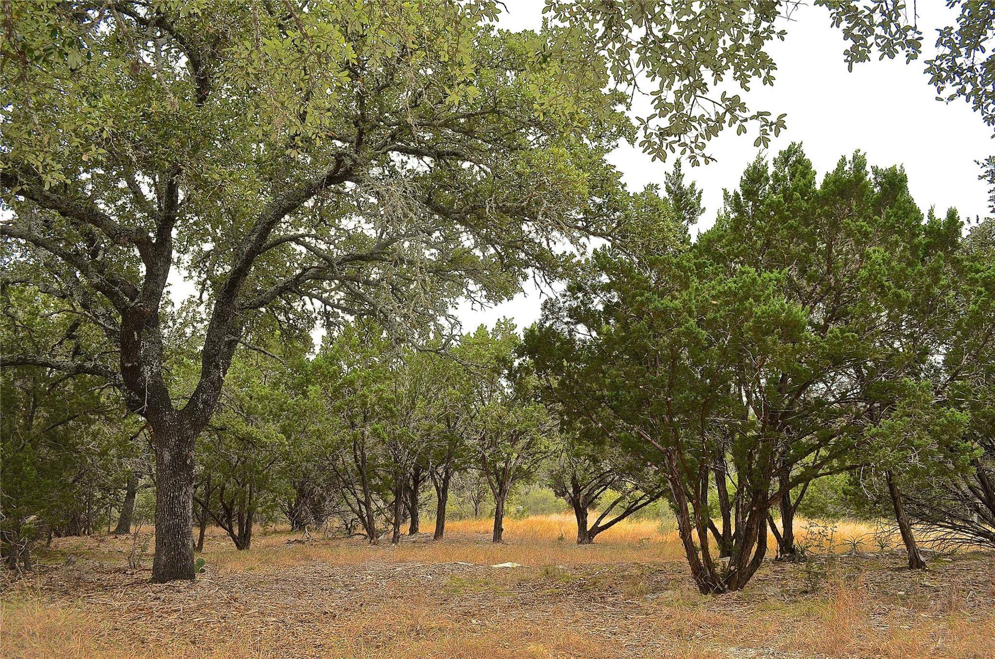 Horseshoe Bay, TX 78657,K12104 Custers CIR