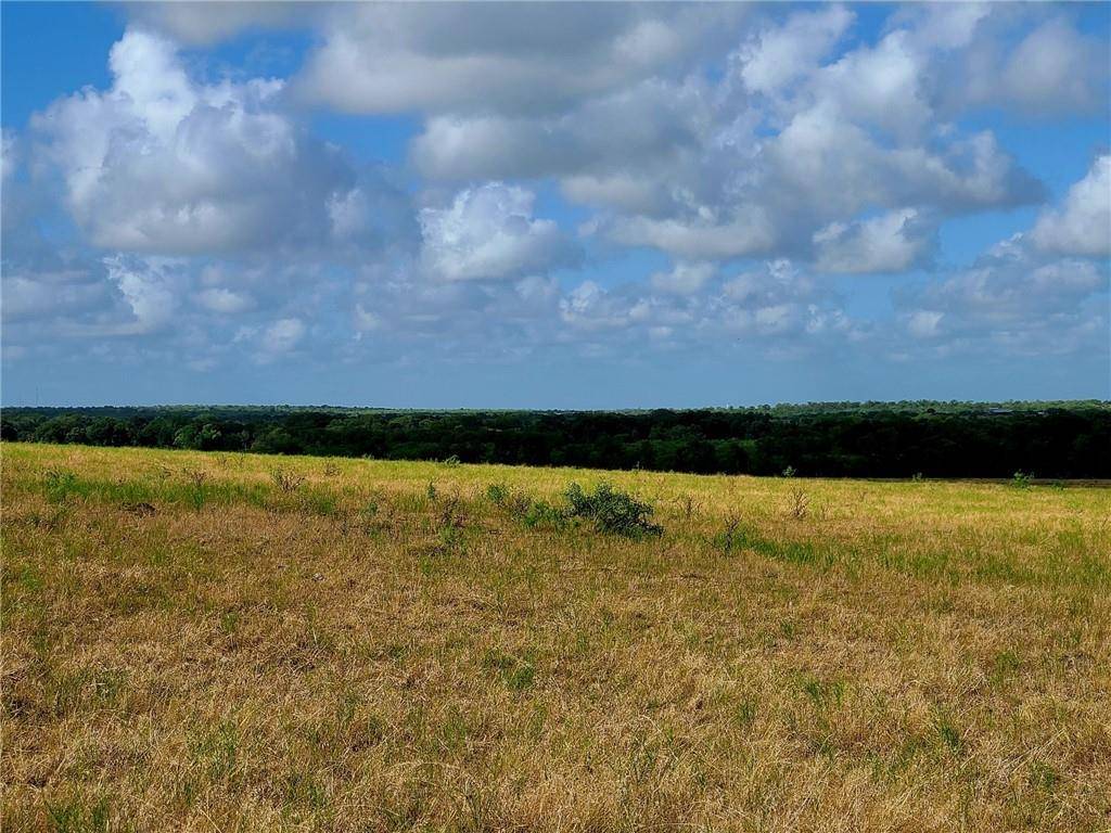 Waelder, TX 78959,TBD 46 Acres West County Rd 446