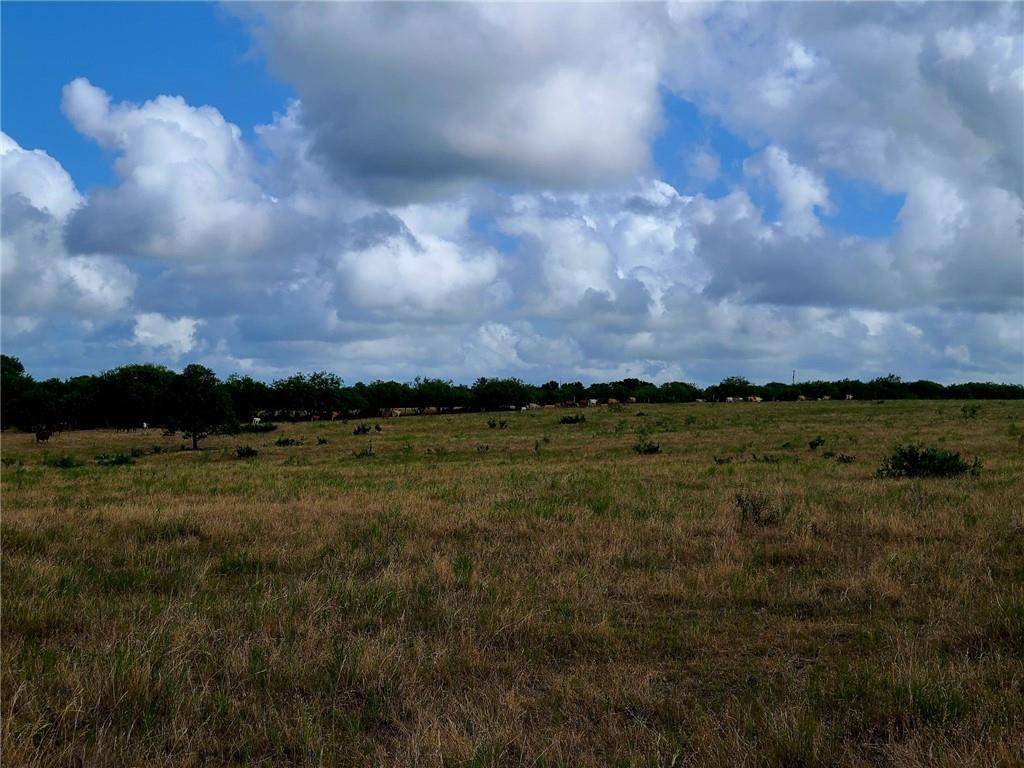 Waelder, TX 78959,TBD 46 Acres West County Rd 446