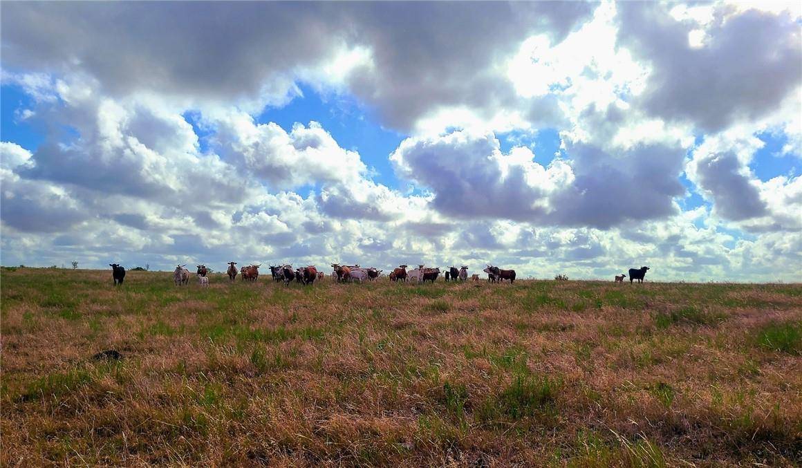 Waelder, TX 78959,TBD 46 Acres West County Rd 446