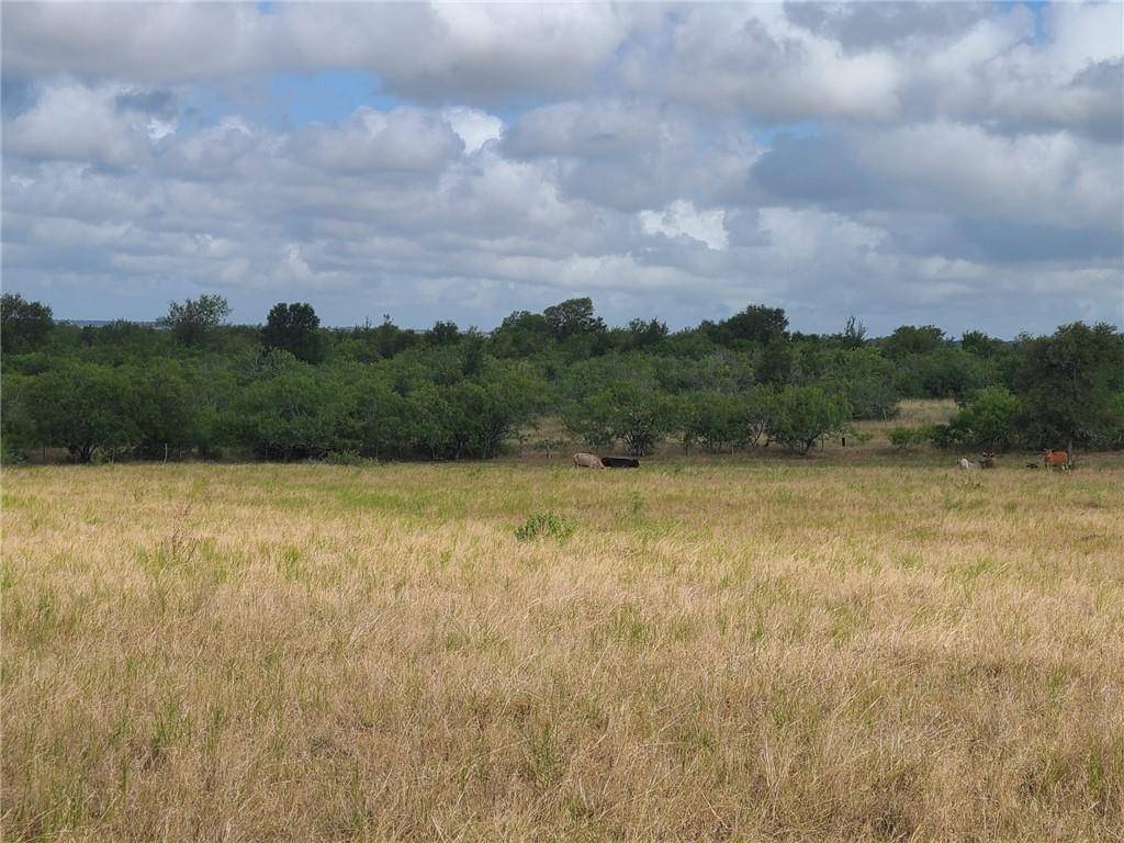 Waelder, TX 78959,TBD 46 Acres West County Rd 446