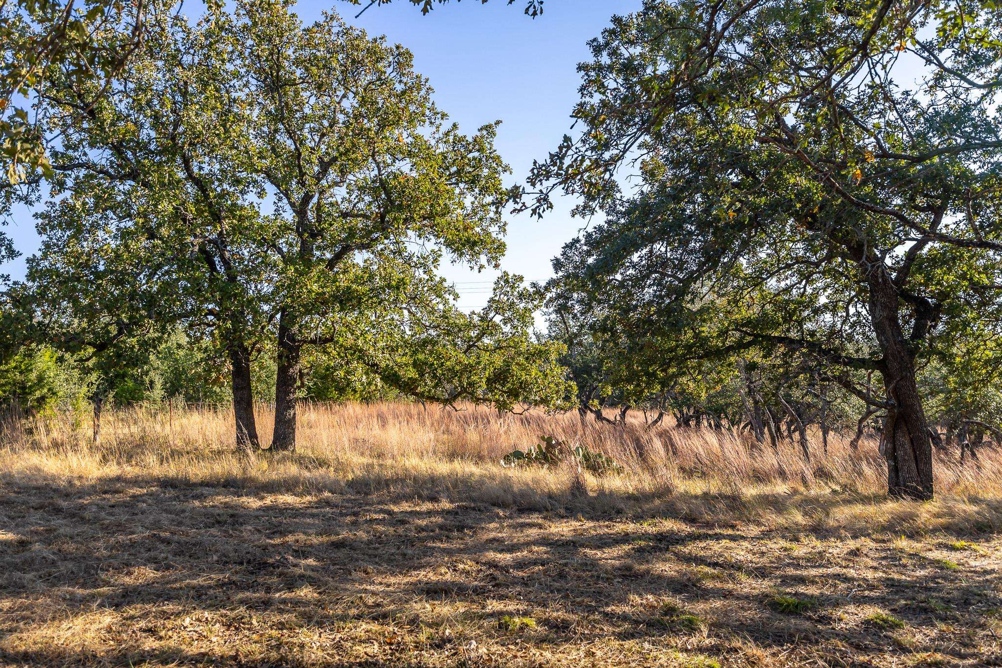 Lampasas, TX 76550,1260 County Road 2001