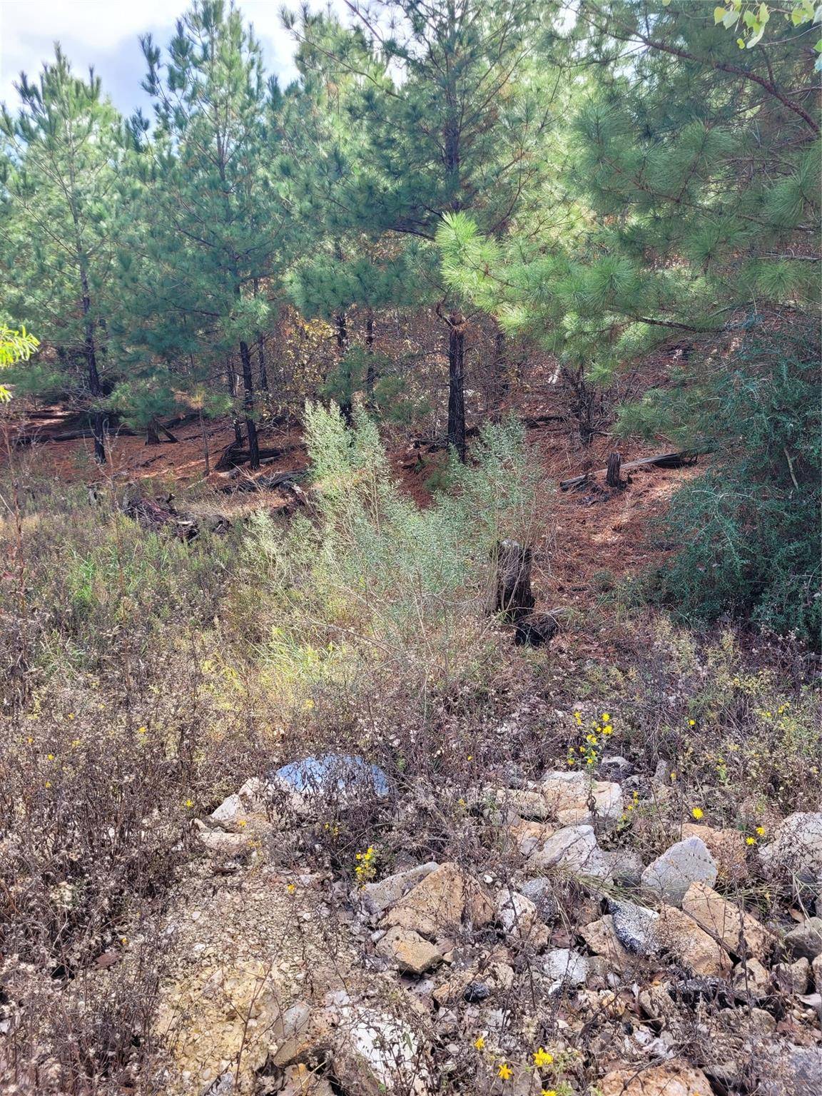 Bastrop, TX 78602,Lot 584 Otani CT
