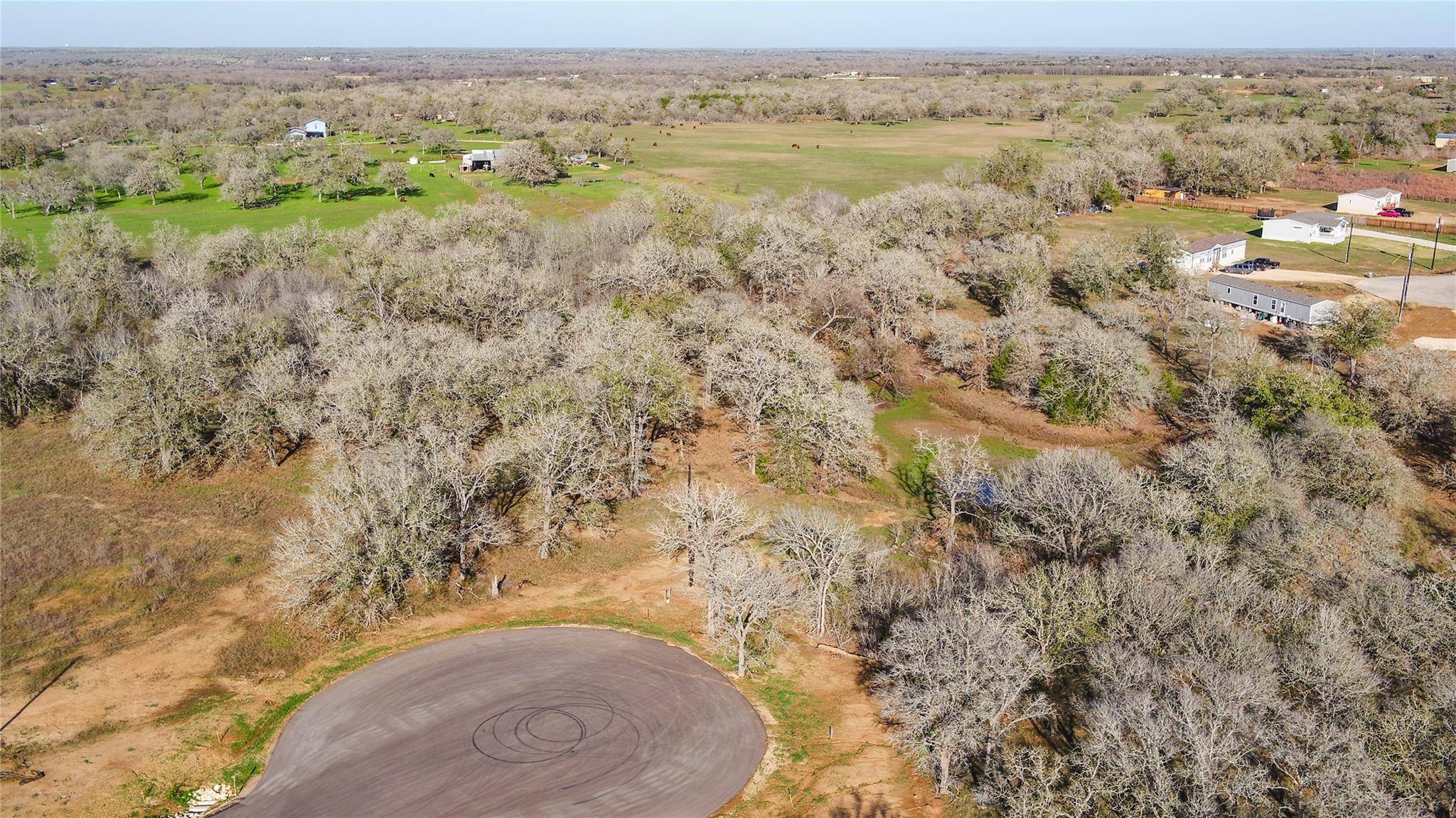 Dale, TX 78619,199 AZALEA CT