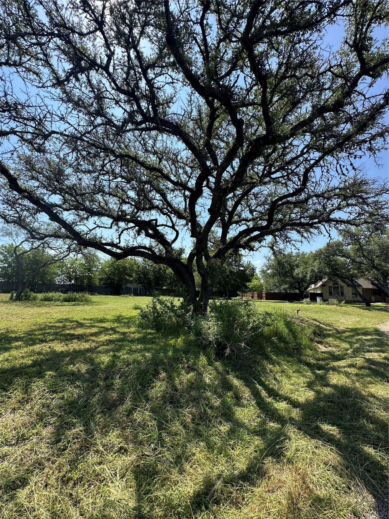 Johnson City, TX 78636,113 Leaning Oak LN