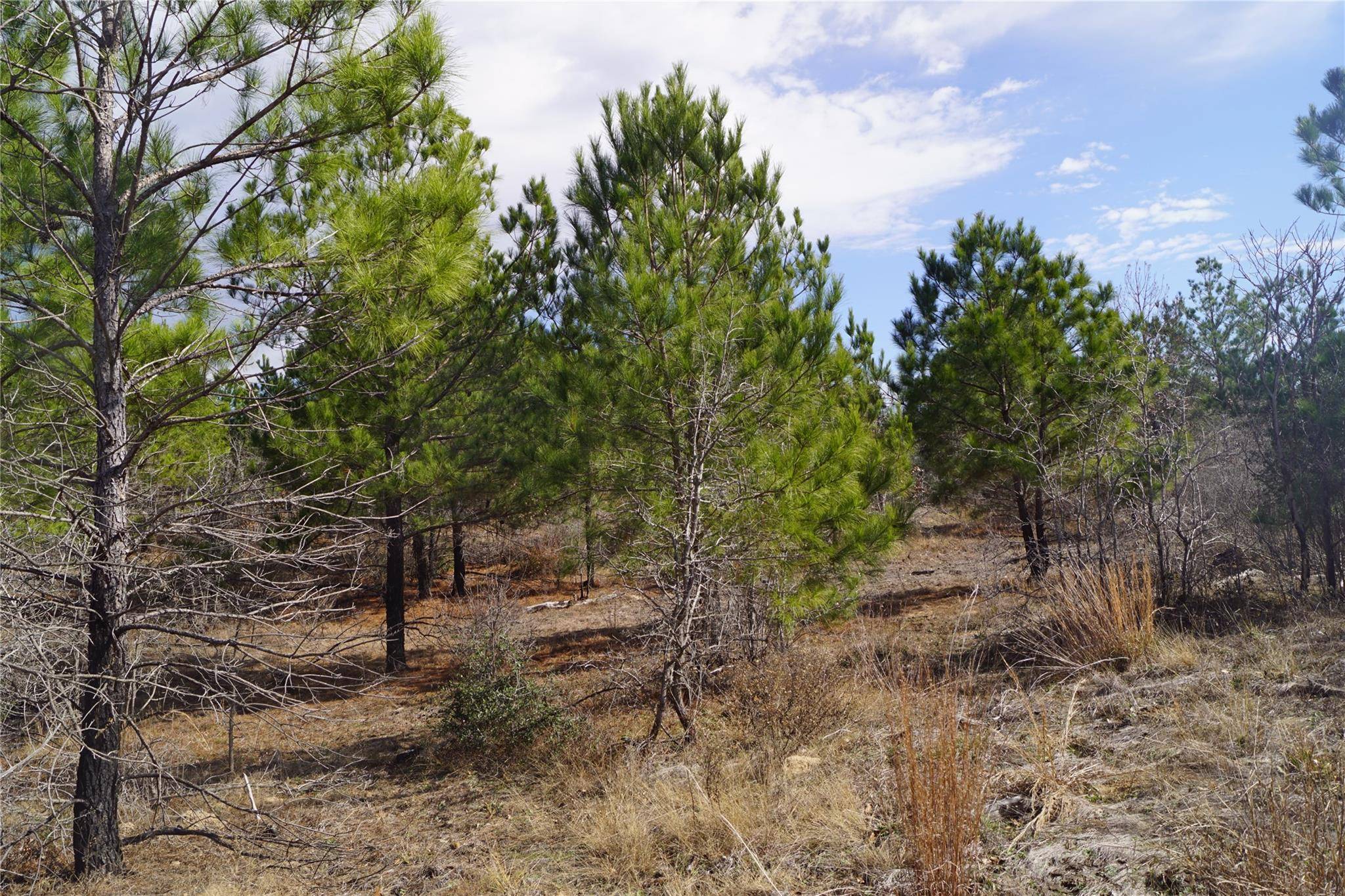 Bastrop, TX 78602,488 E Kelley RD