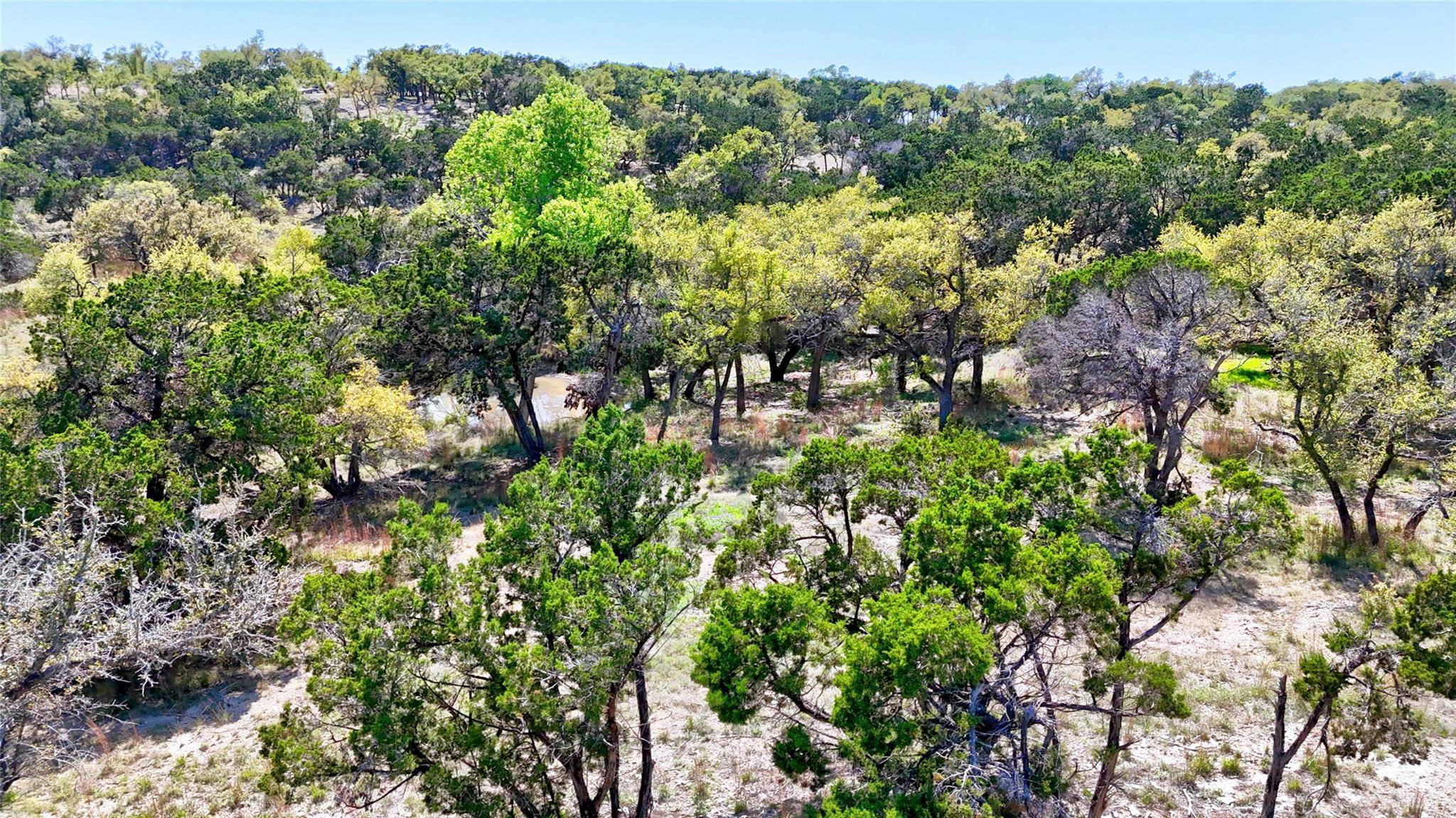 Wimberley, TX 78676,TBD Moonridge LN