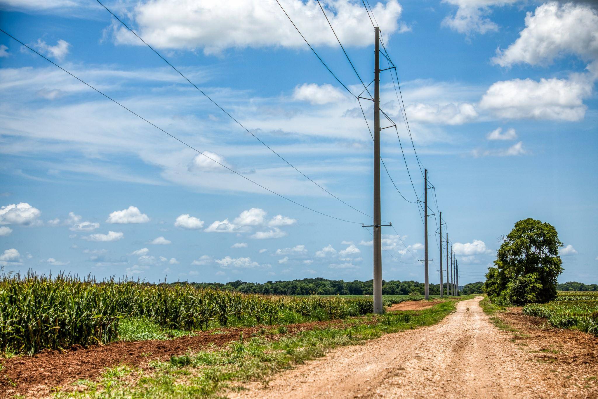 Snook, TX 77878,TBD County Road 277