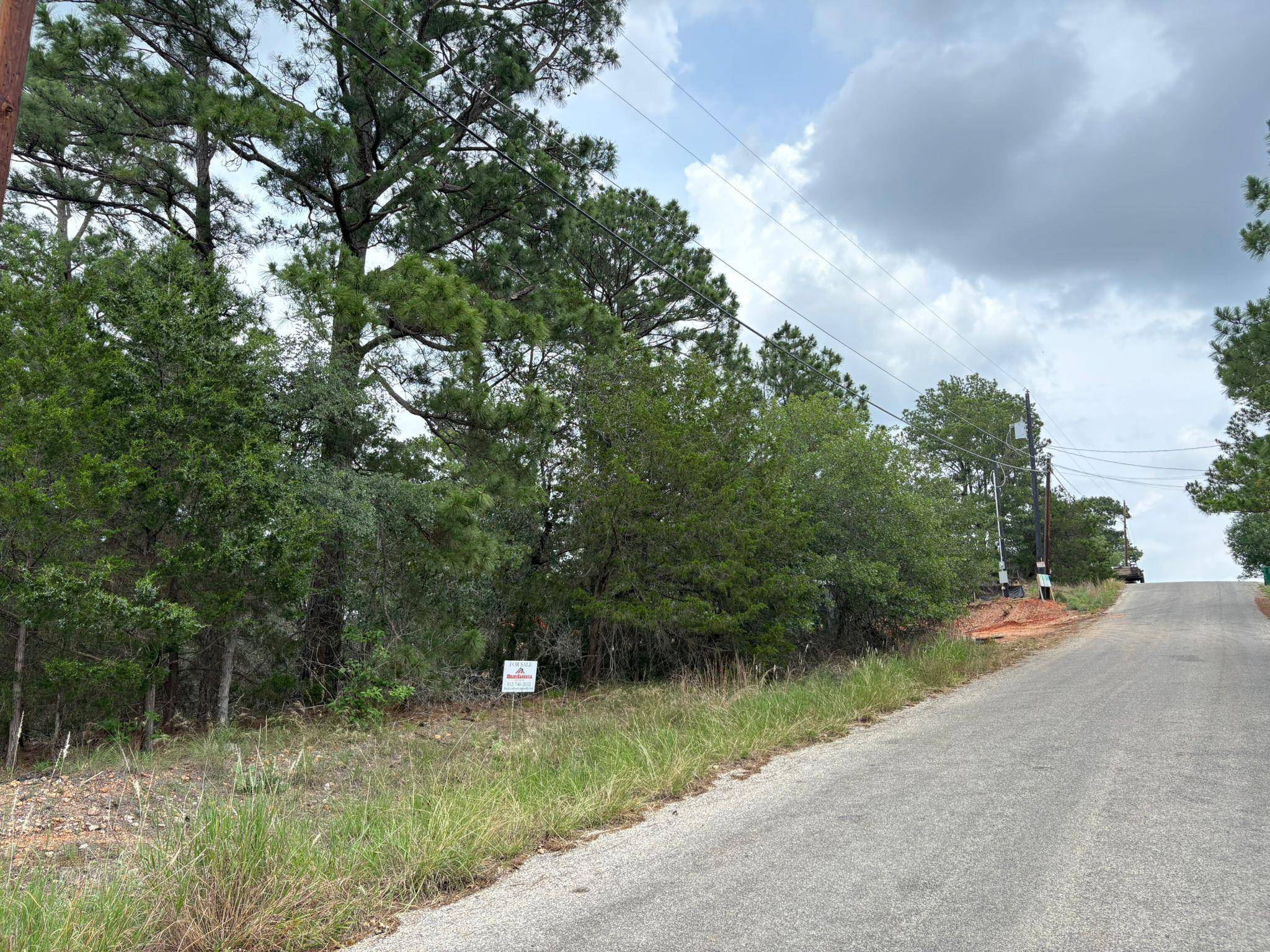 Bastrop, TX 78602,0 Kaelepulu Lot 240 DR