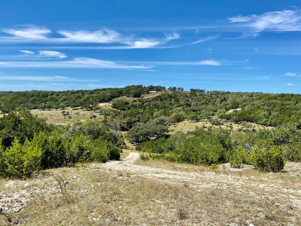 Blanco, TX 78606,6470 Rocky RD