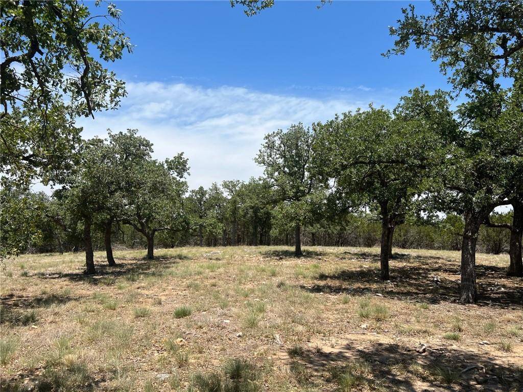 Round Mountain, TX 78663,349 Lilly LN