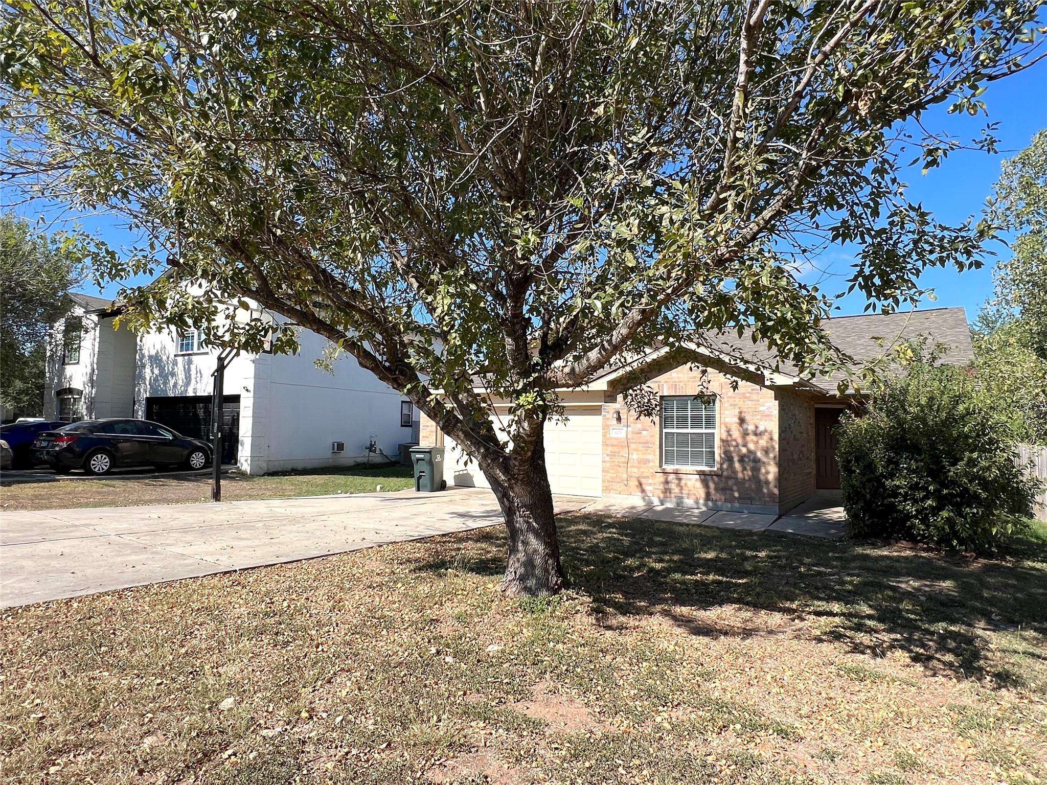 Kyle, TX 78640,125 Dandelion LOOP