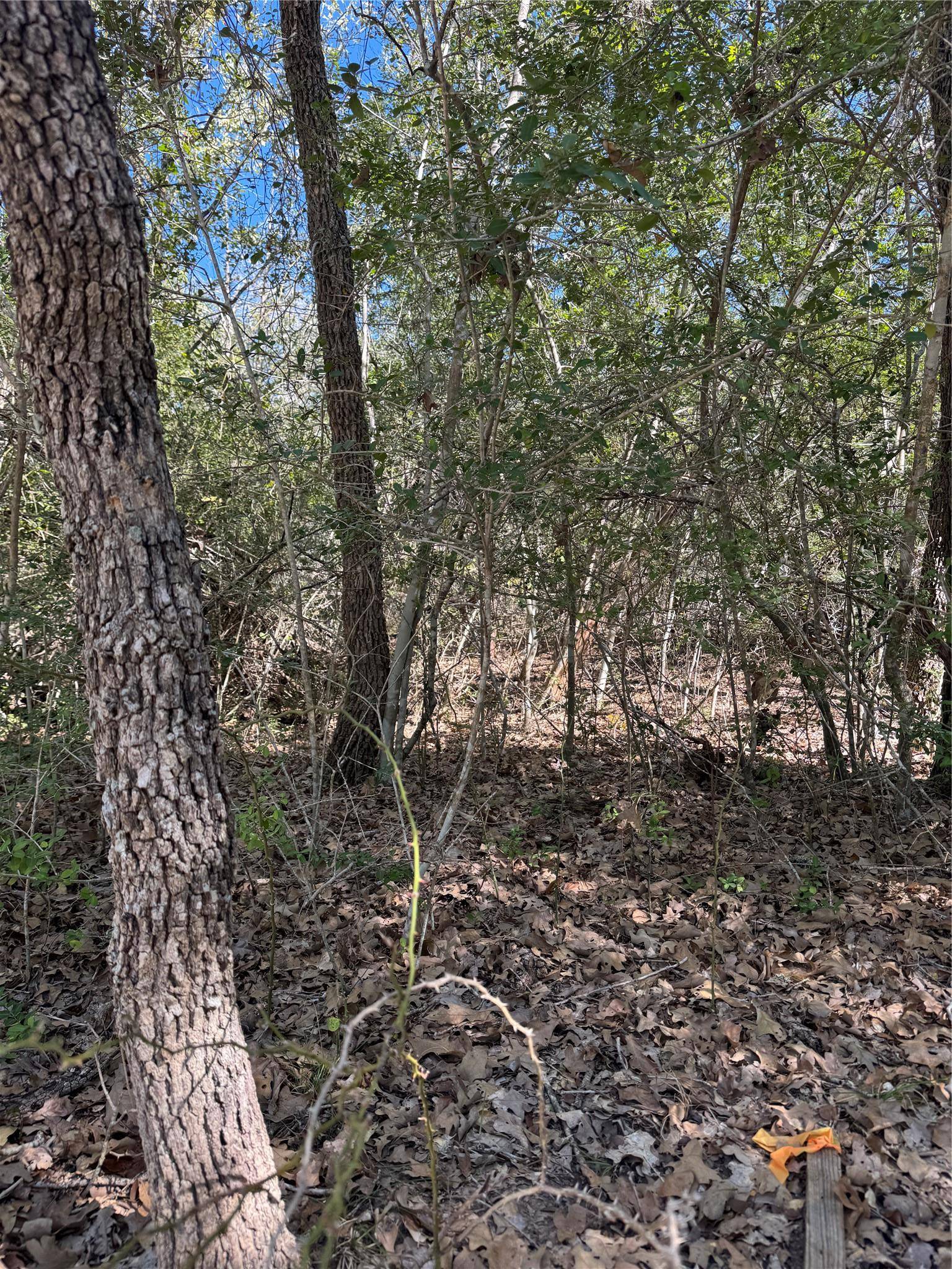 Bastrop, TX 78602,Lot 195 Kaelepulu DR