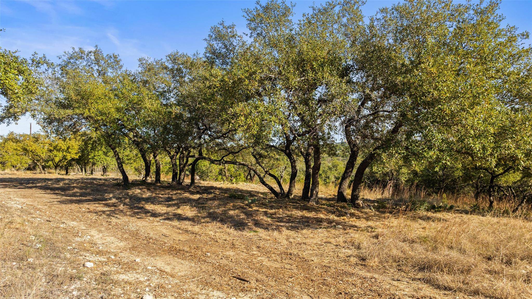 Spicewood, TX 78669,23405 Pedernales Canyon TRL