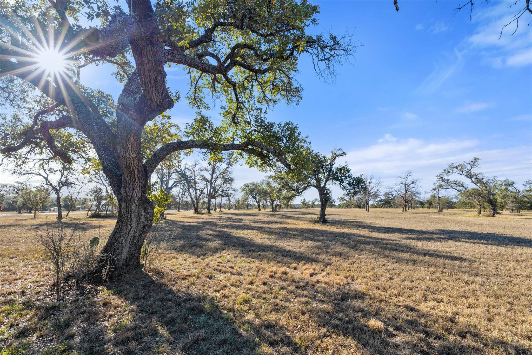 Round Mountain, TX 78663,167 Mr Charlie LN