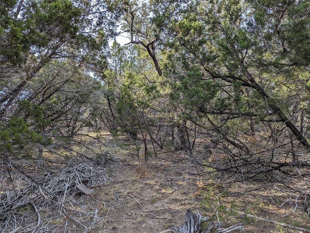 Wimberley, TX 78676,TBD Abilene ST
