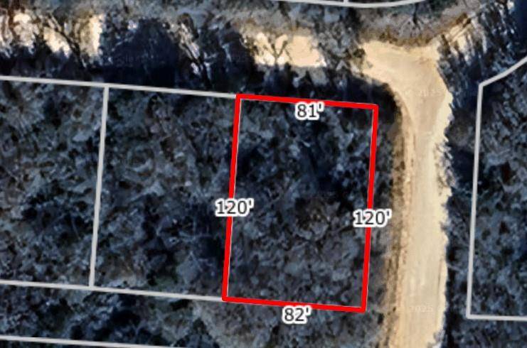 Hilltop Lakes, TX 77871,TBD Navarro DR