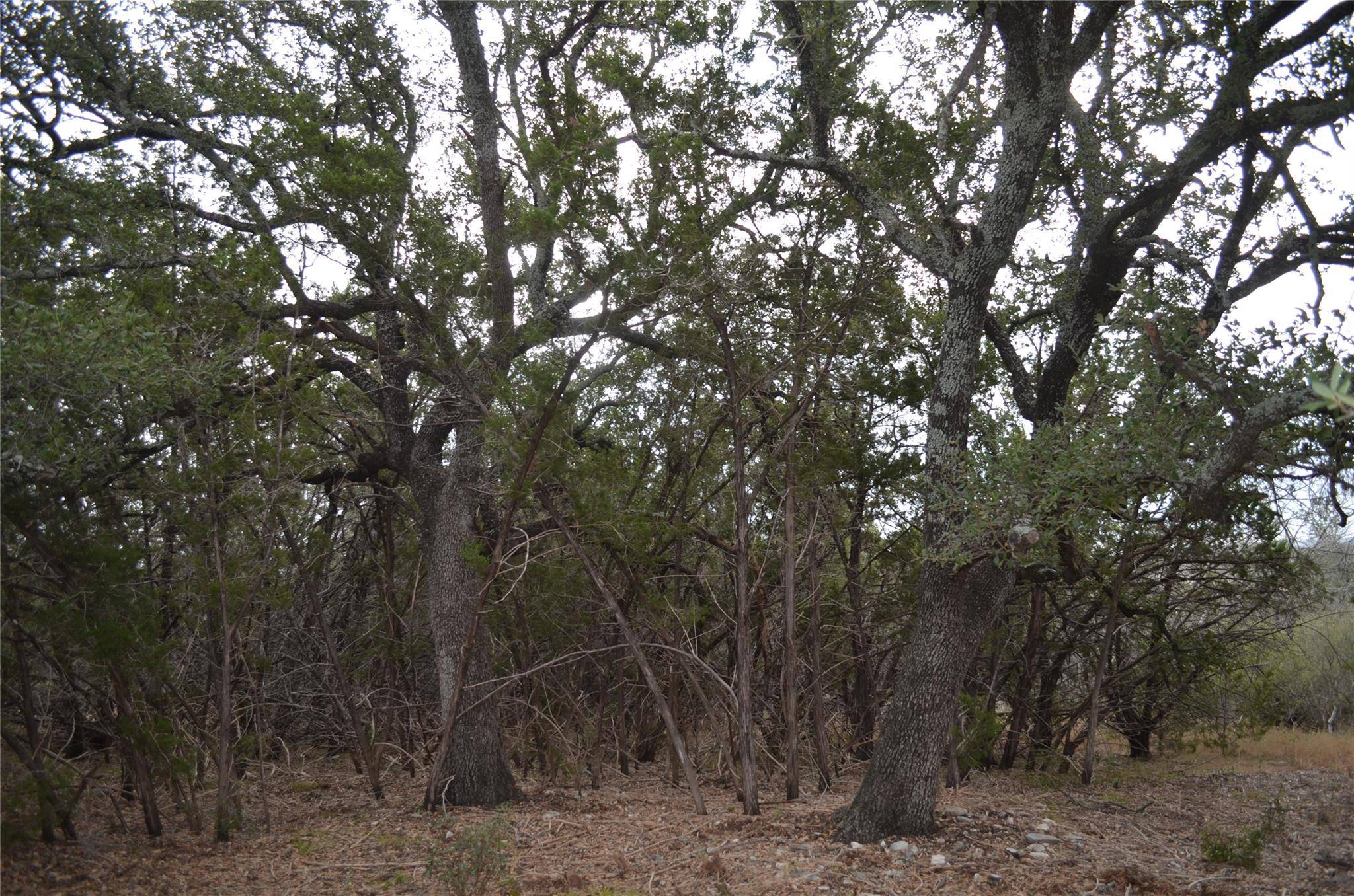 Horseshoe Bay, TX 78657,K12103 Custers CIR
