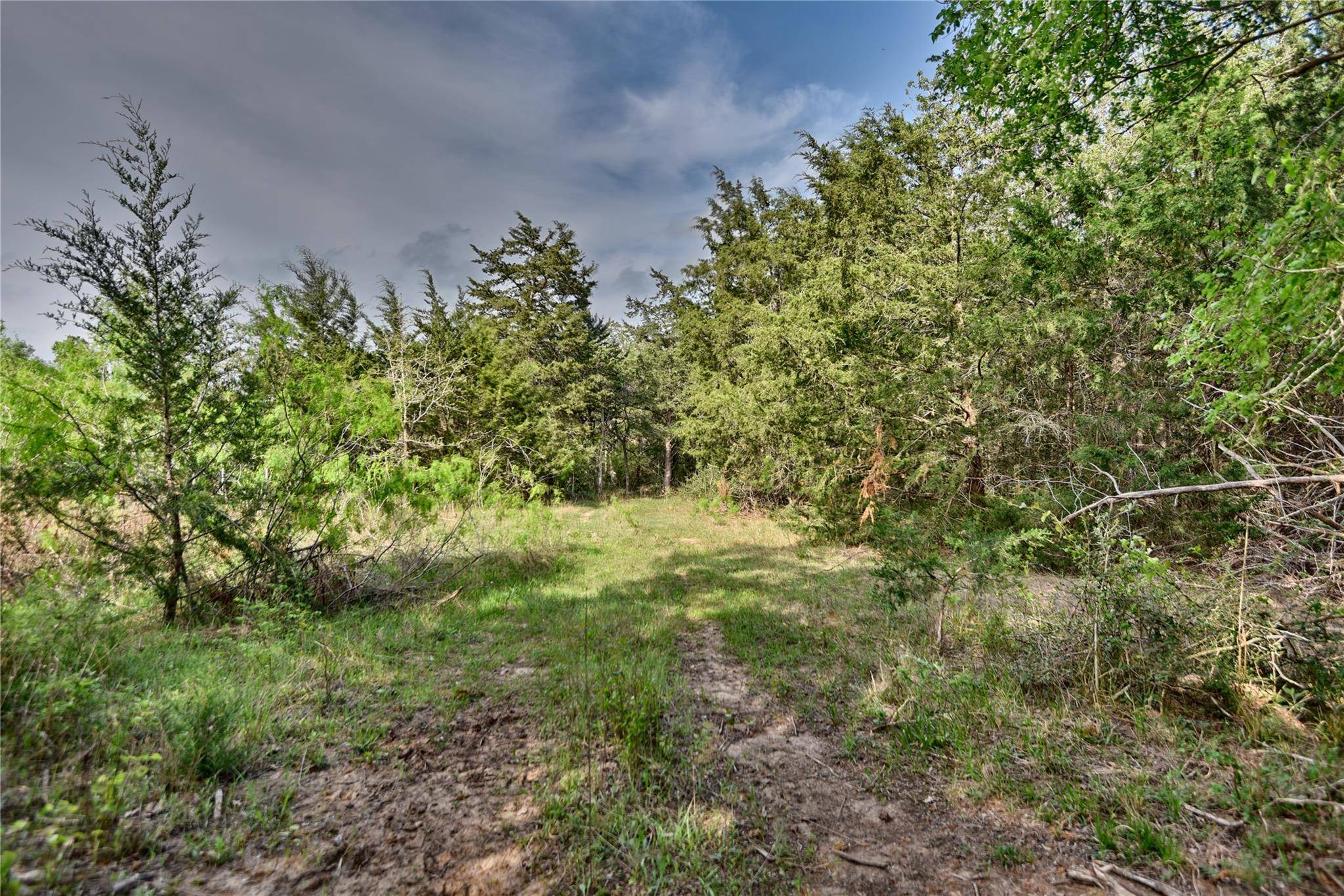 Caldwell, TX 77836,TBD (43.65 Acres) County Road 126