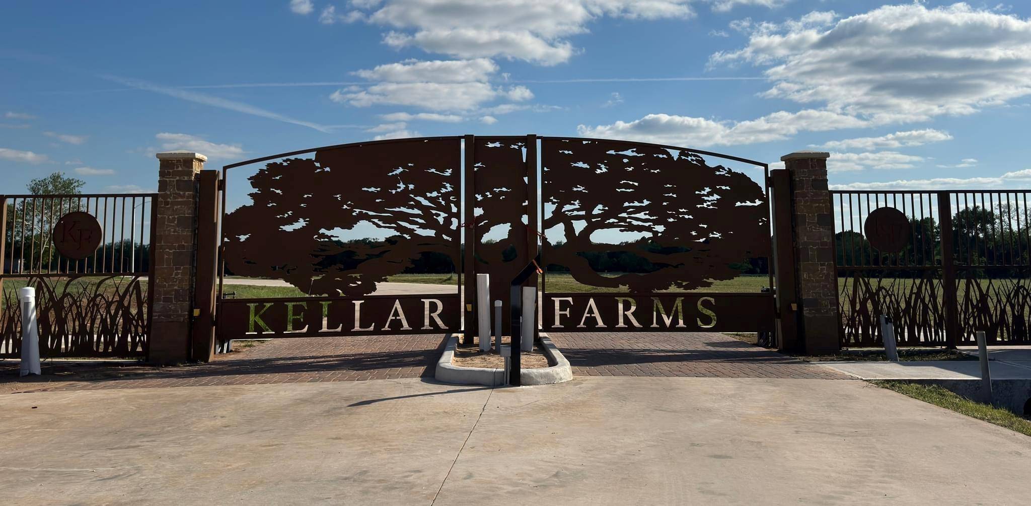 Smithville, TX 78957,Lot 29 Hydrangea DR