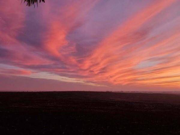 Coupland, TX 78615,975 County Rd 458 (10 Acres)