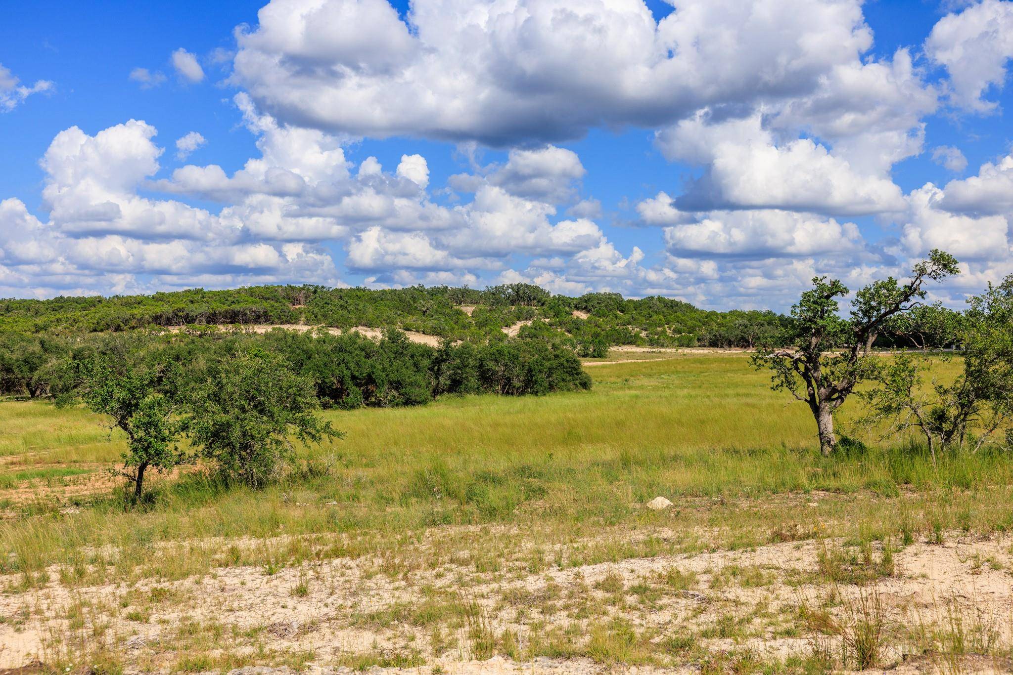 Wimberley, TX 78676,TBD-100 Mount Gainor RD