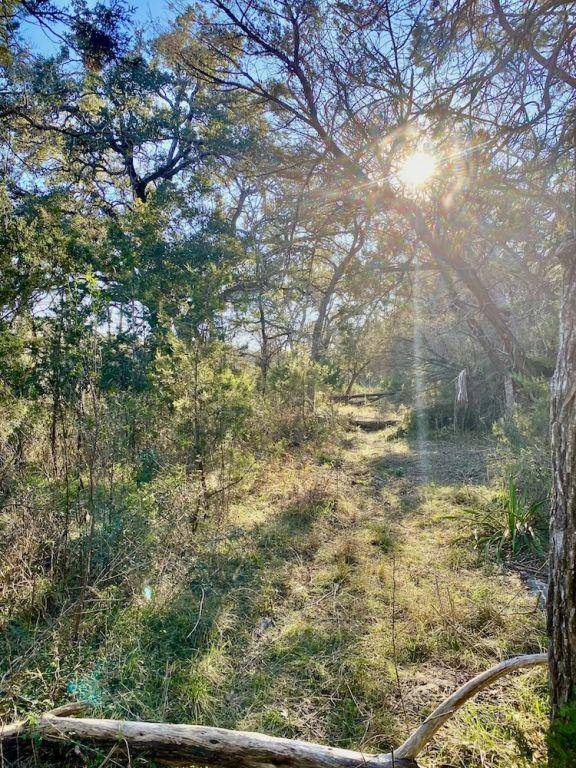 Buda, TX 78610,1081 Clark CV