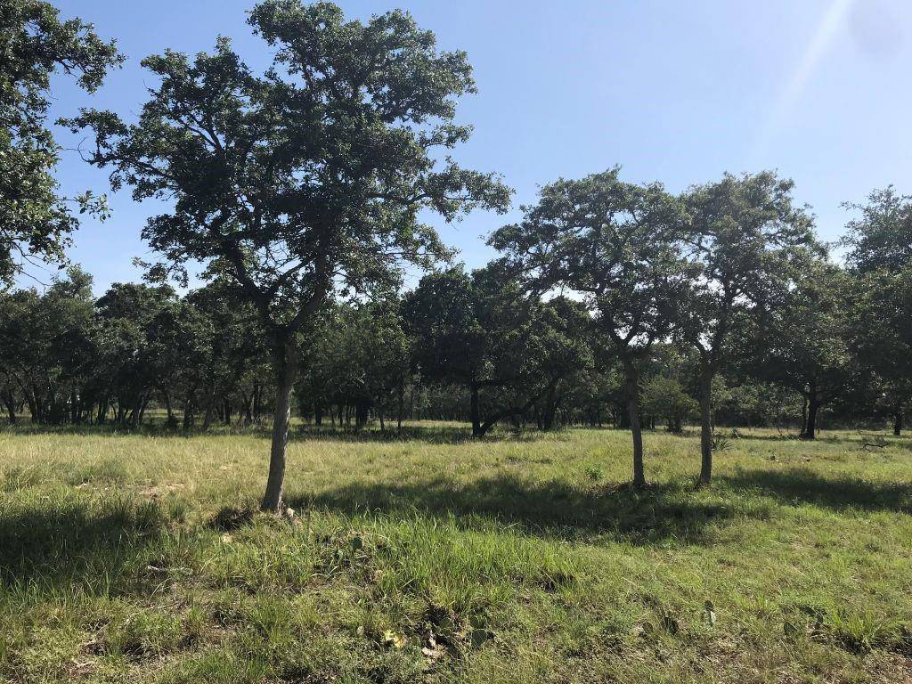 Blanco, TX 78606,5385 RANCH ROAD 165