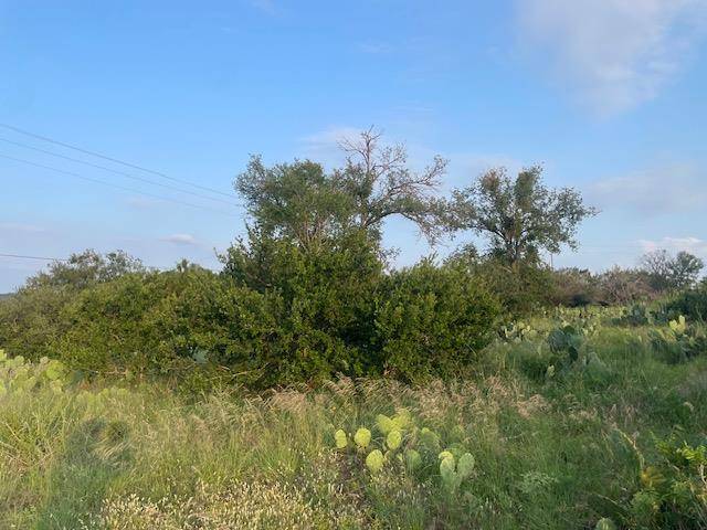 Burnet, TX 78611,Lot 23 Cr 140
