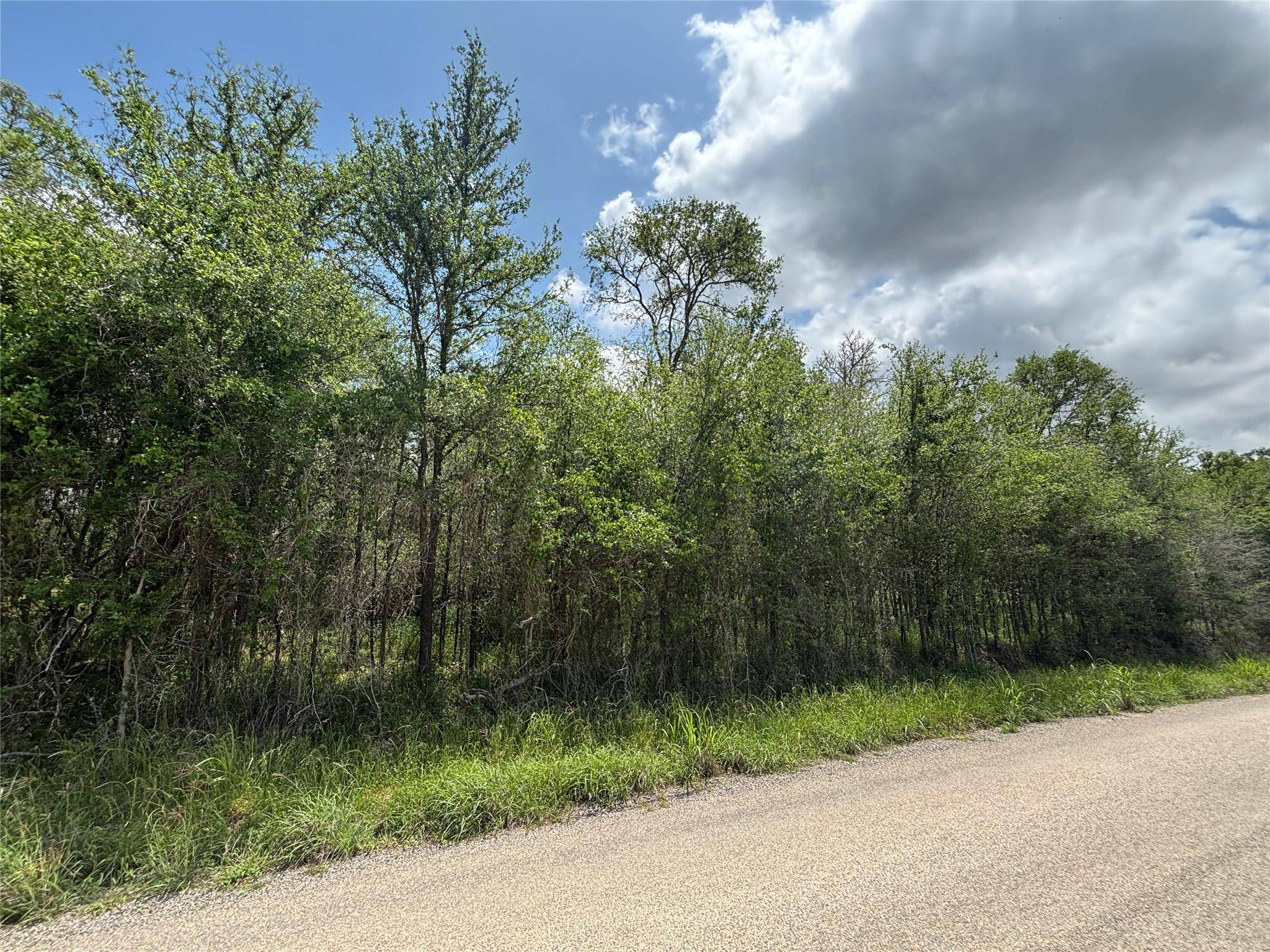 Bastrop, TX 78602,191 Heleakala DR