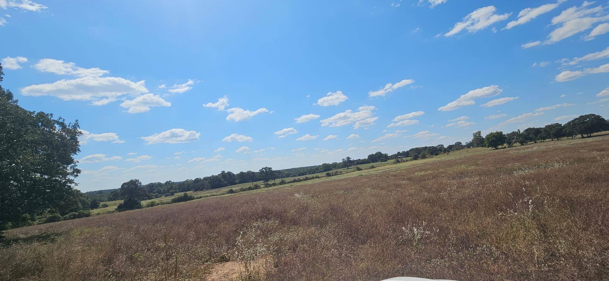 Milano, TX 76556,TBD County Road 342