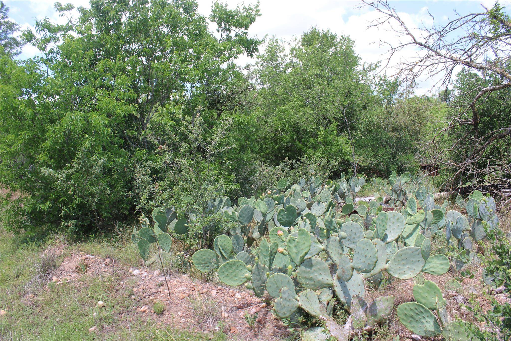 Buda, TX 78610,7701 Old Lockhart HWY