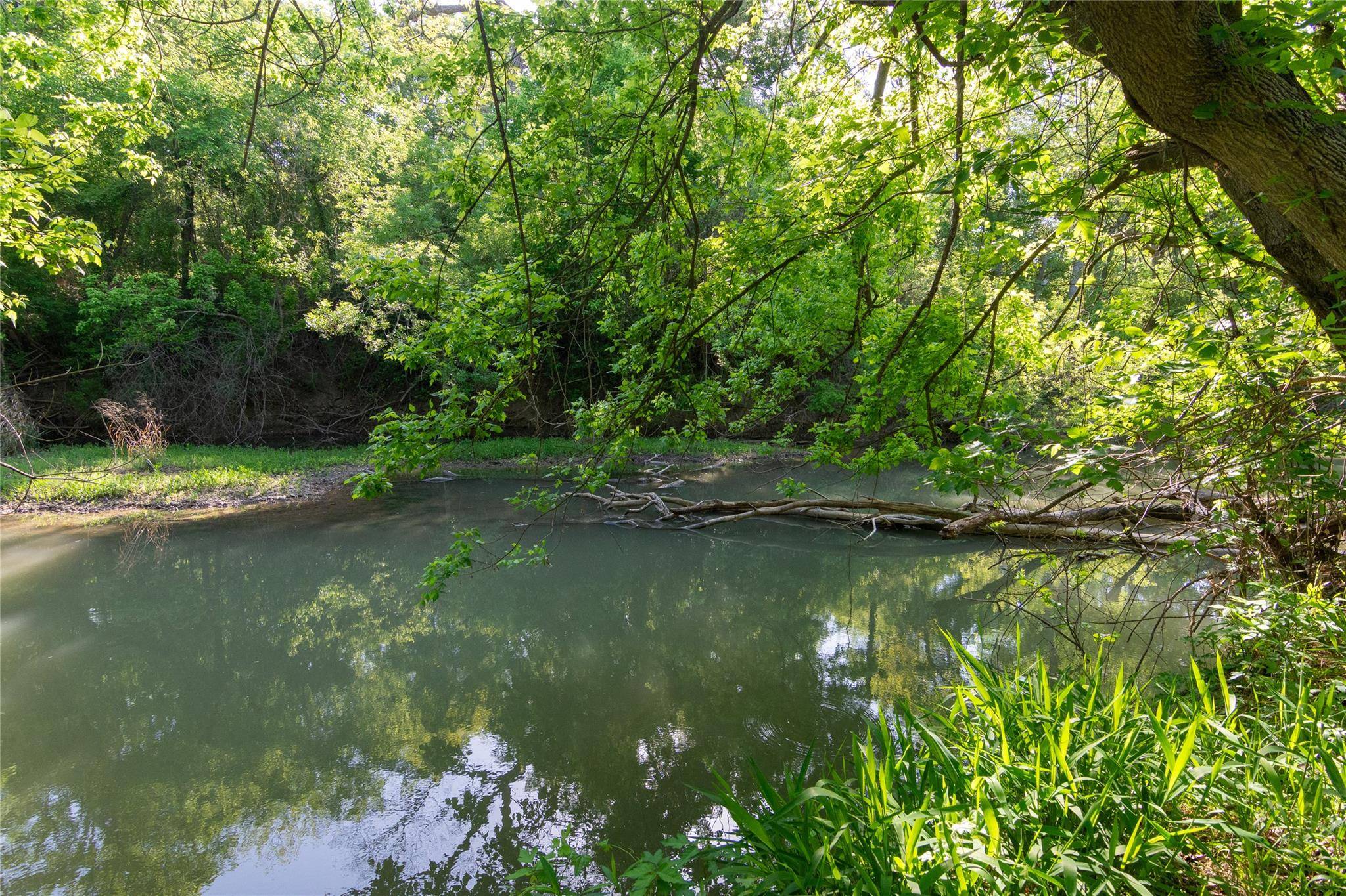 Granger, TX 76530,000 County Rd 361