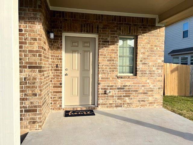 Georgetown, TX 78626,221 Arabian Colt DR