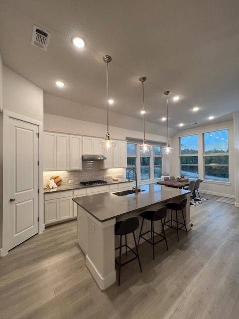 Lago Vista, TX 78645,22509 Agave Grove DR