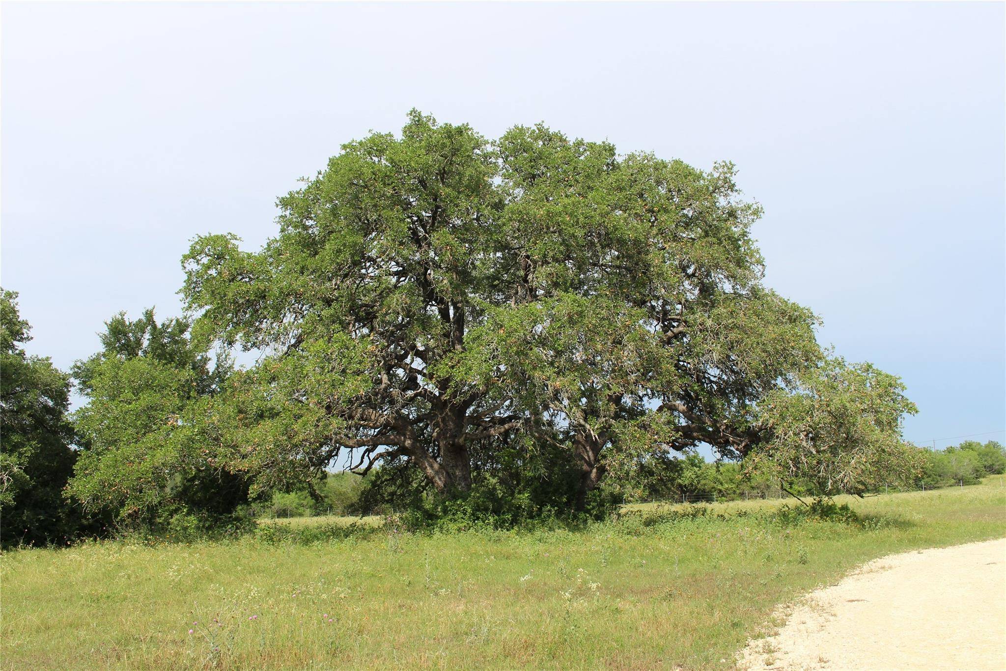 Seguin, TX 78155,4188 FM 20