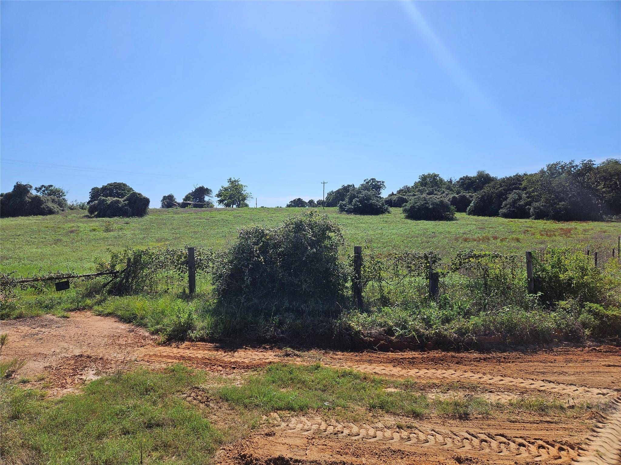 Milano, TX 76556,8544 CR 322