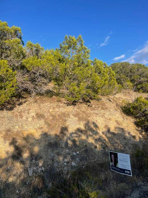 Leander, TX 78645,21500 Wyoming PASS