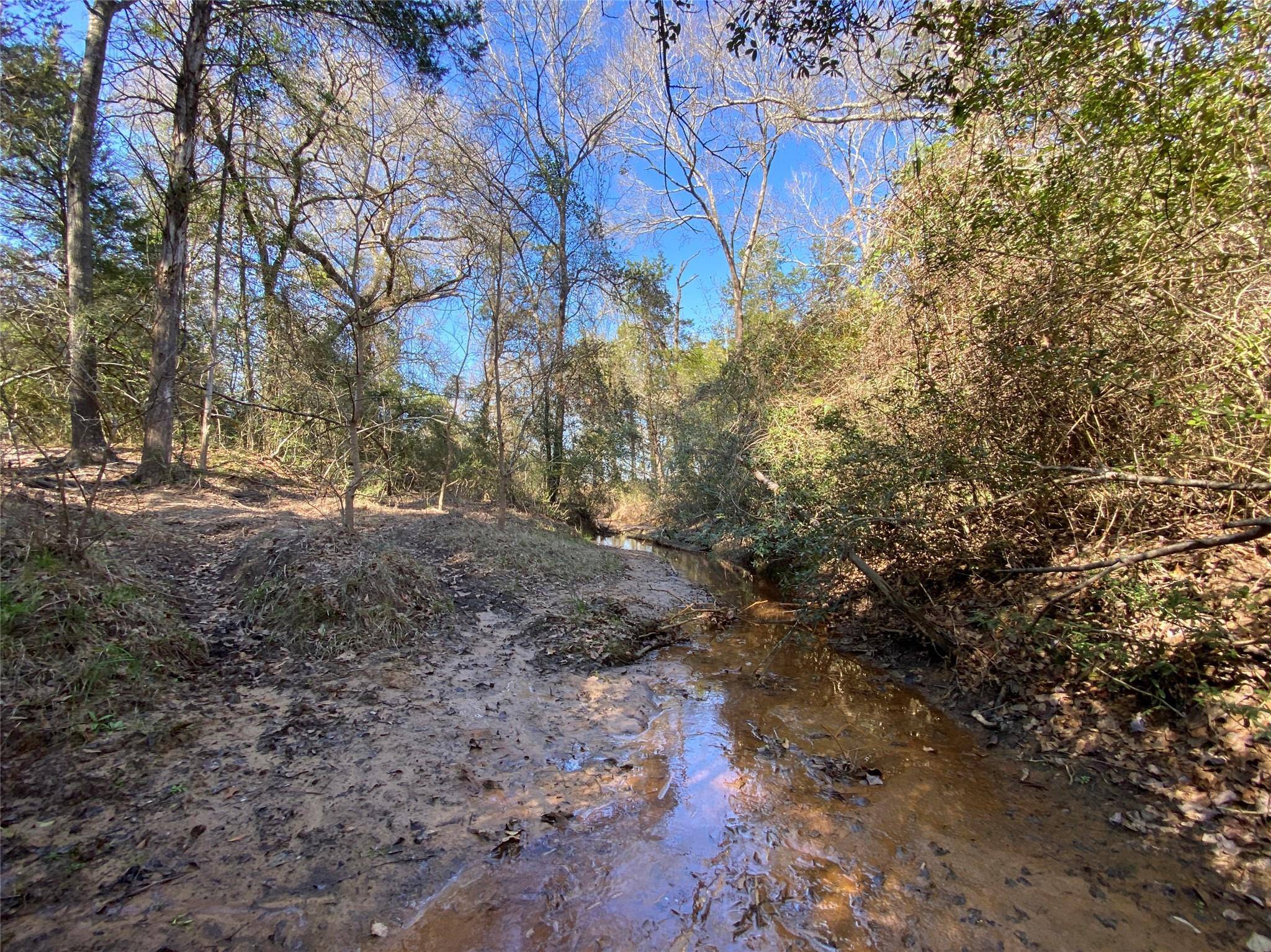 Lexington, TX 78947,TBD County Road 401