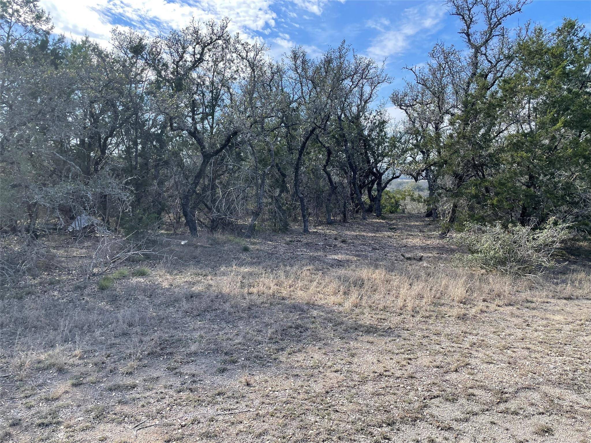 Spicewood, TX 78669,Lot 5 Gregg DR
