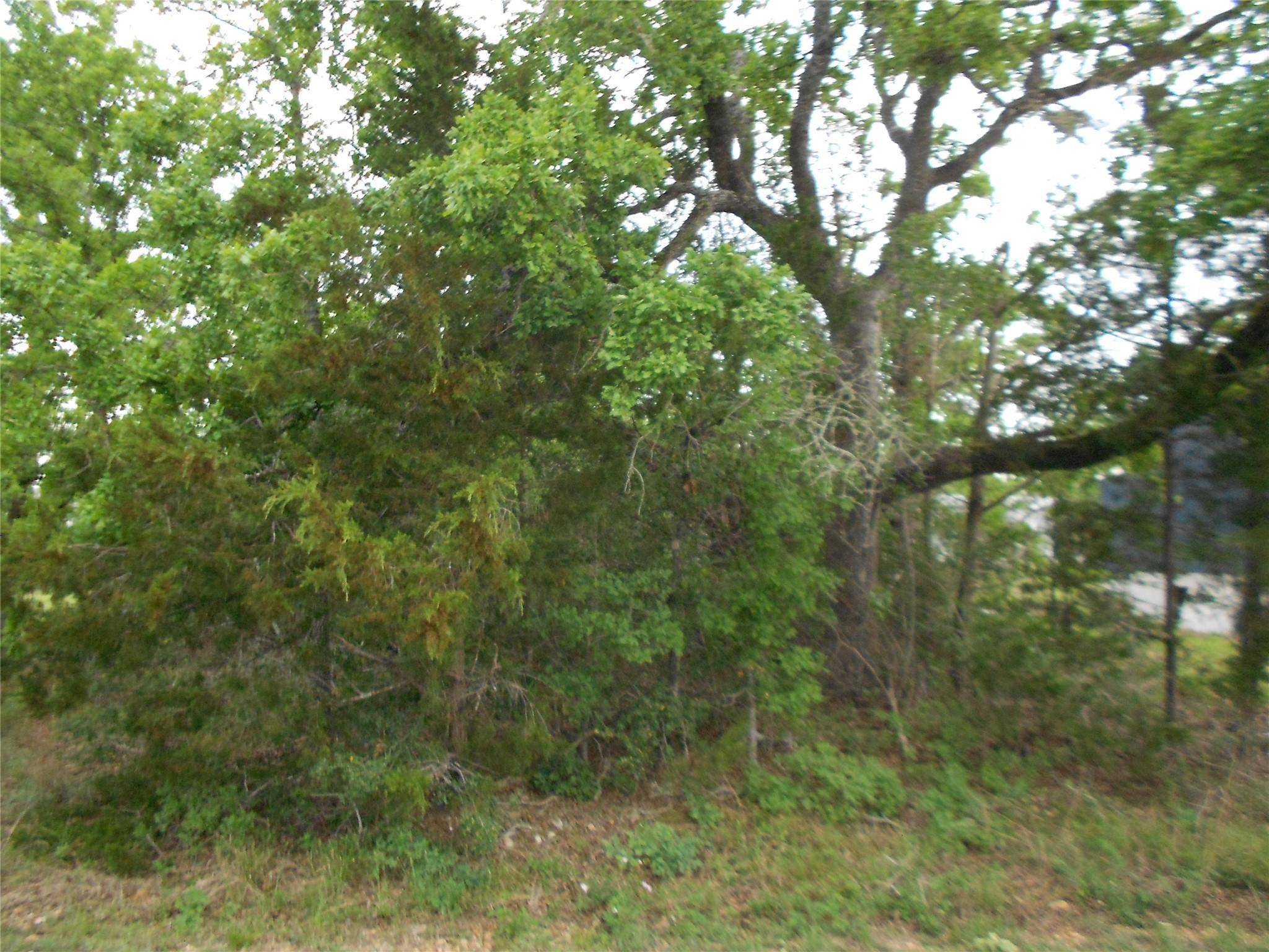 Smithville, TX 78957,441 Tom Tom