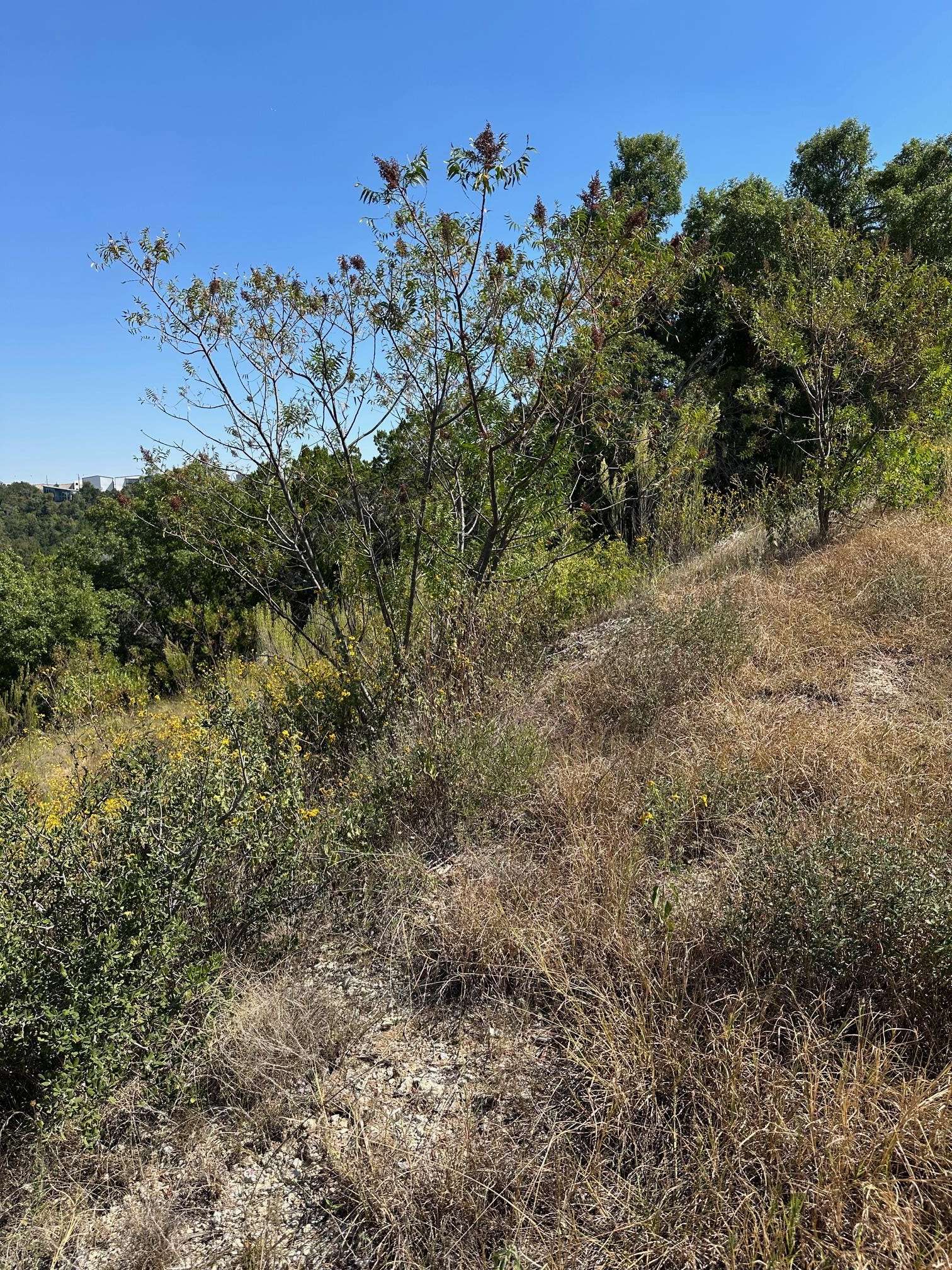 Lago Vista, TX 78645,21400 Bison TRL