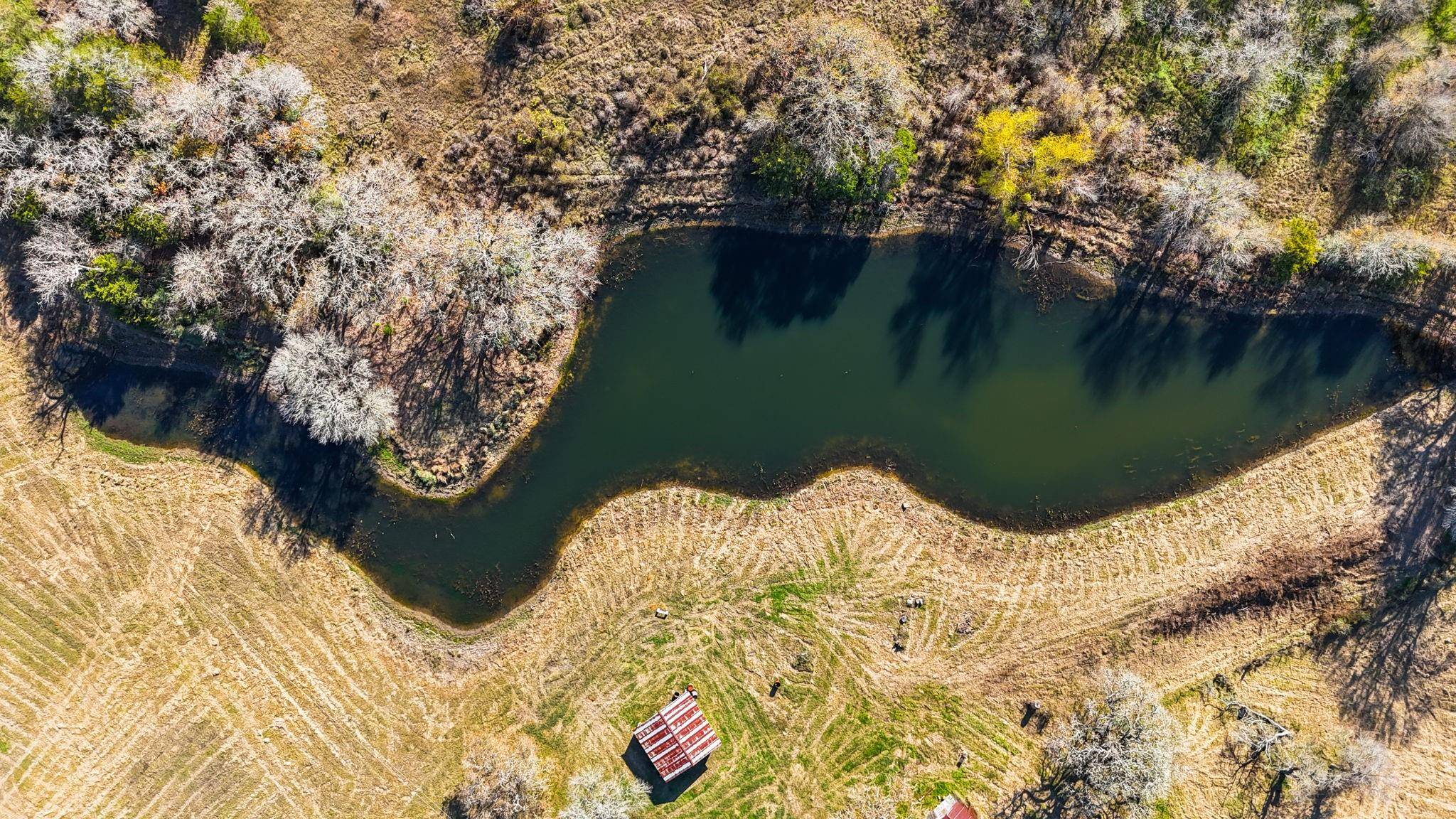 Giddings, TX 78942,2493 County Road 113 - LOT 4