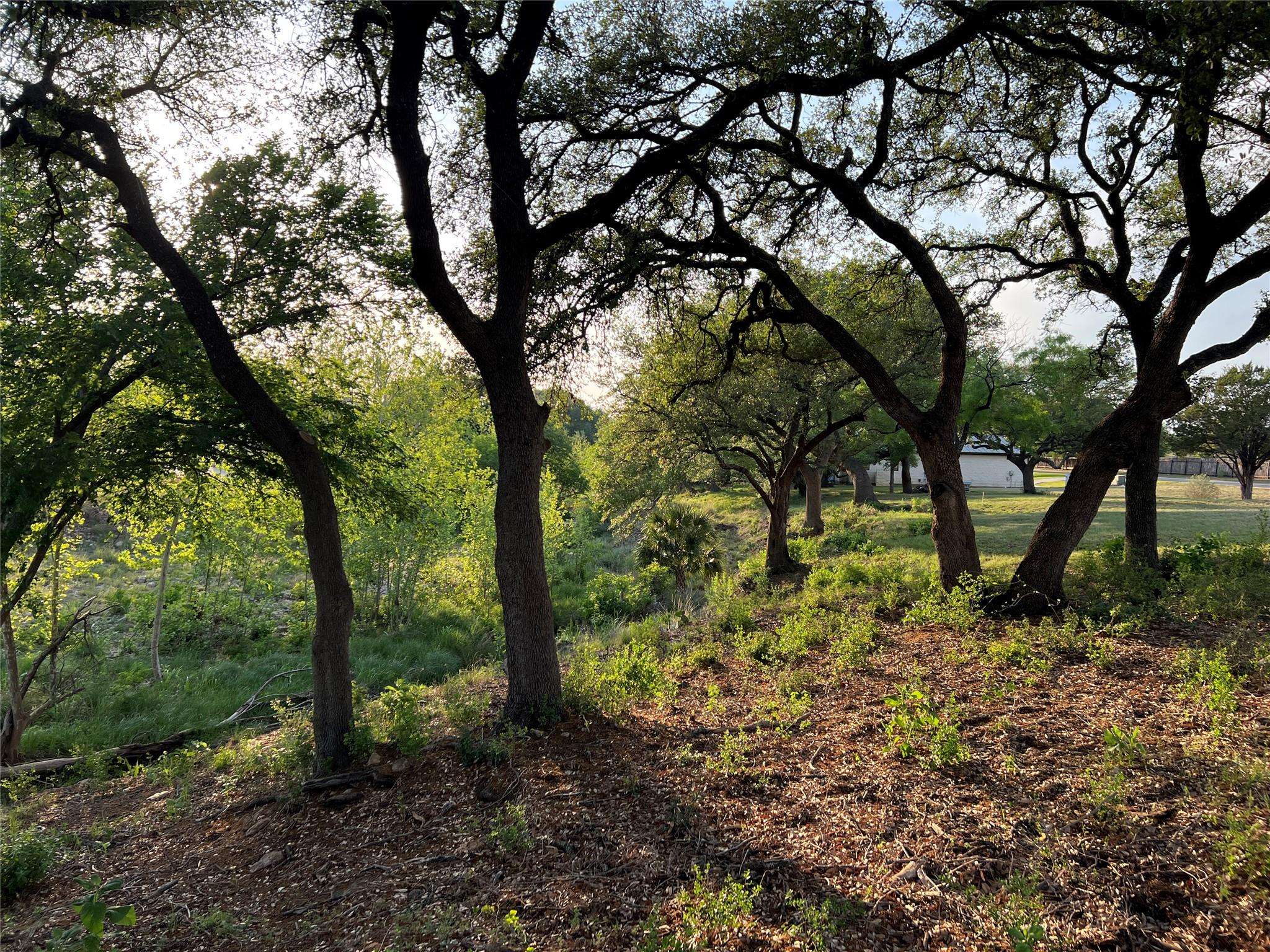 Horseshoe Bay, TX 78657,Lot 210 Creek LN