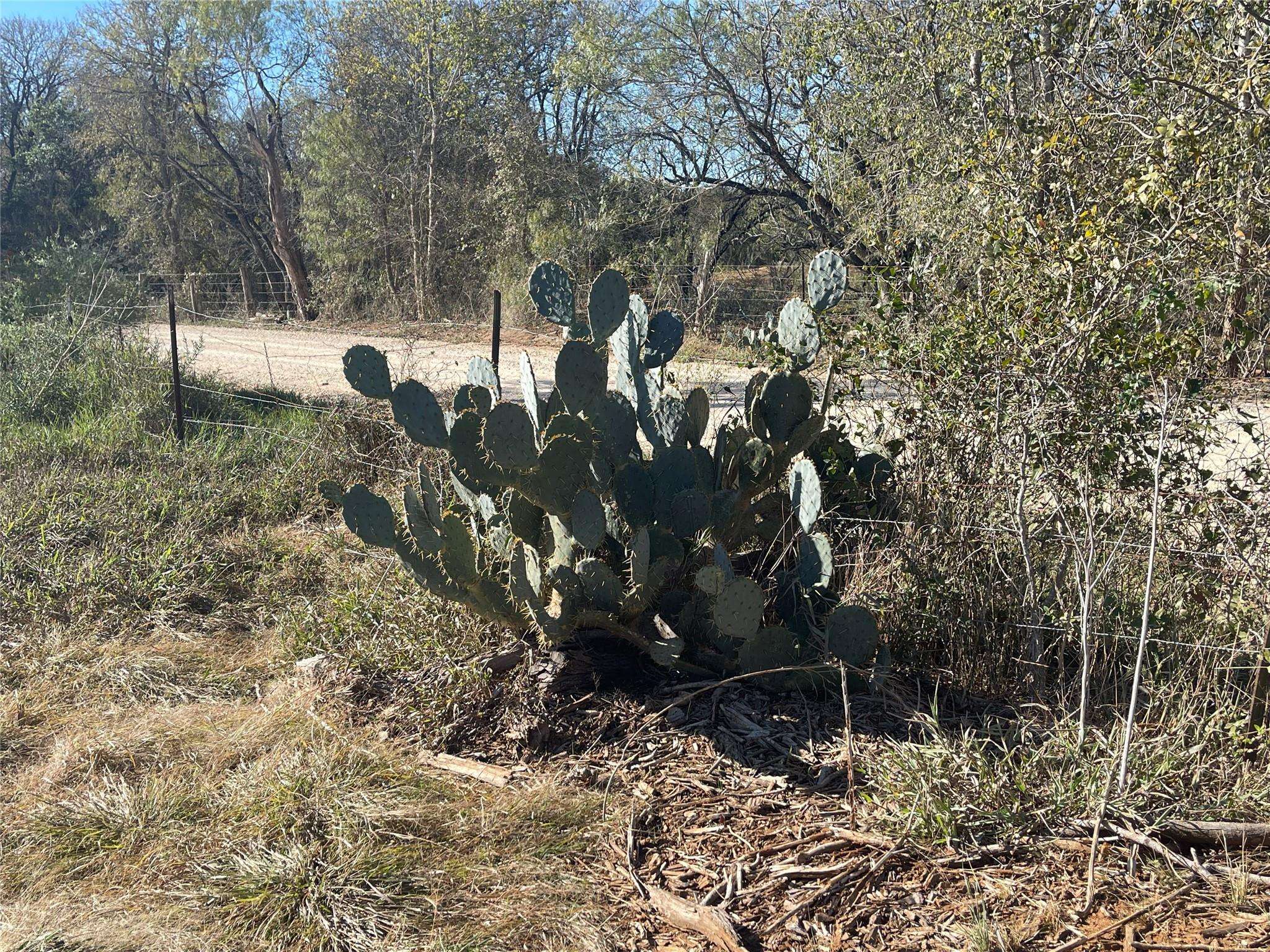 Luling, TX 78648,TBD Lot 8 TENNEY CREEK RD