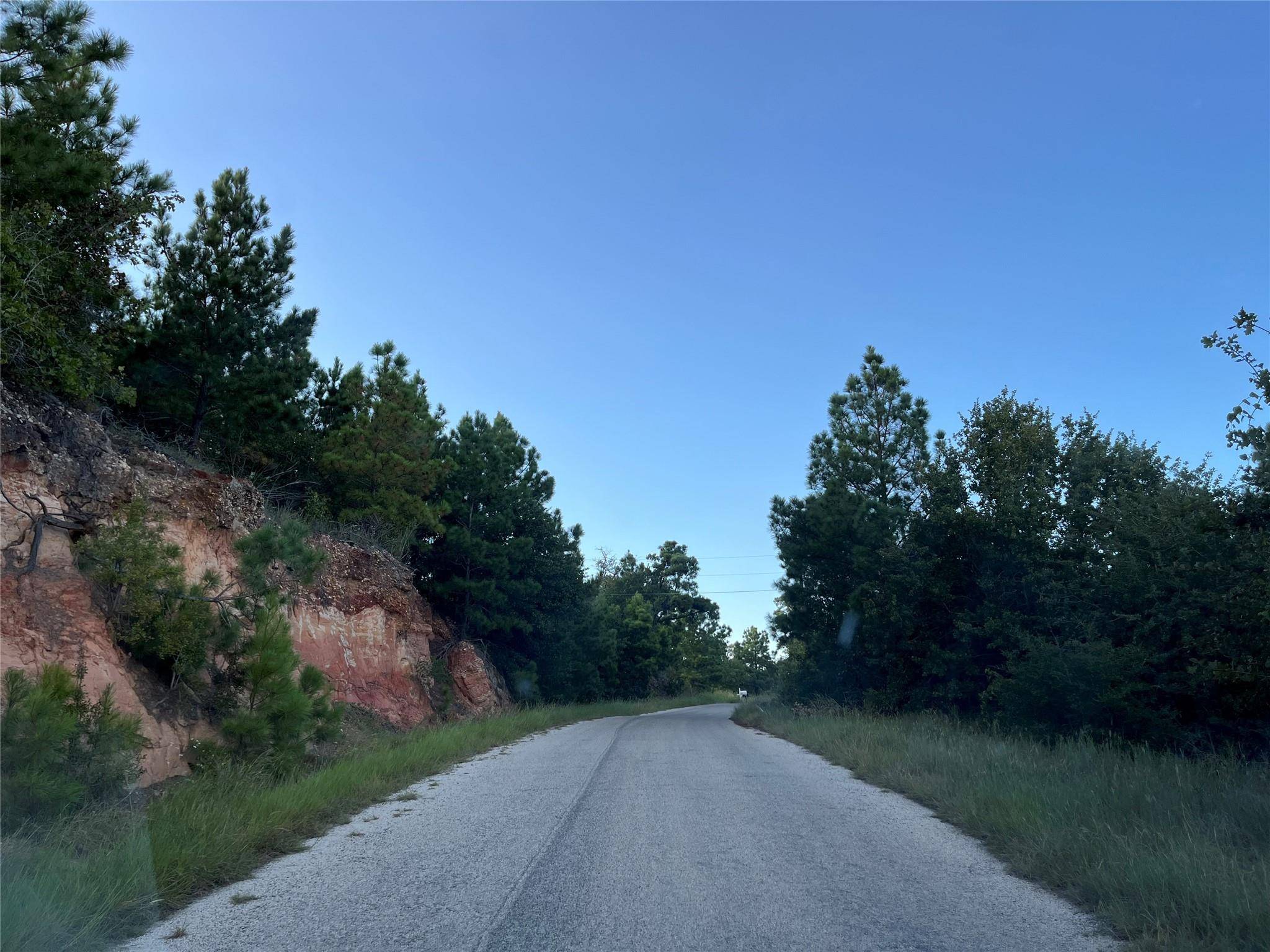 Bastrop, TX 78602,Lot 859 Mamalu DR