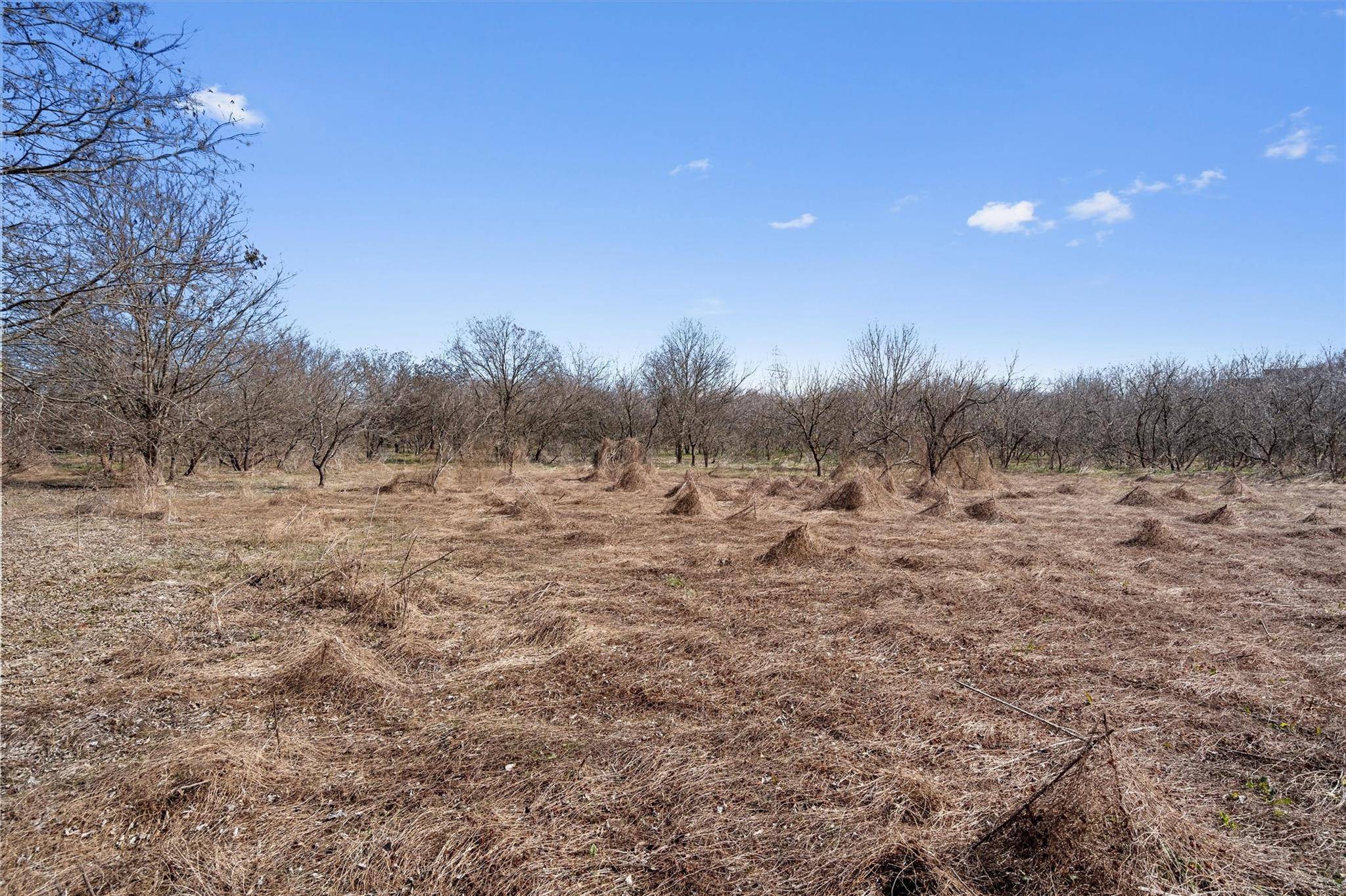 Dale, TX 78616,TBD Tomahawk TRL
