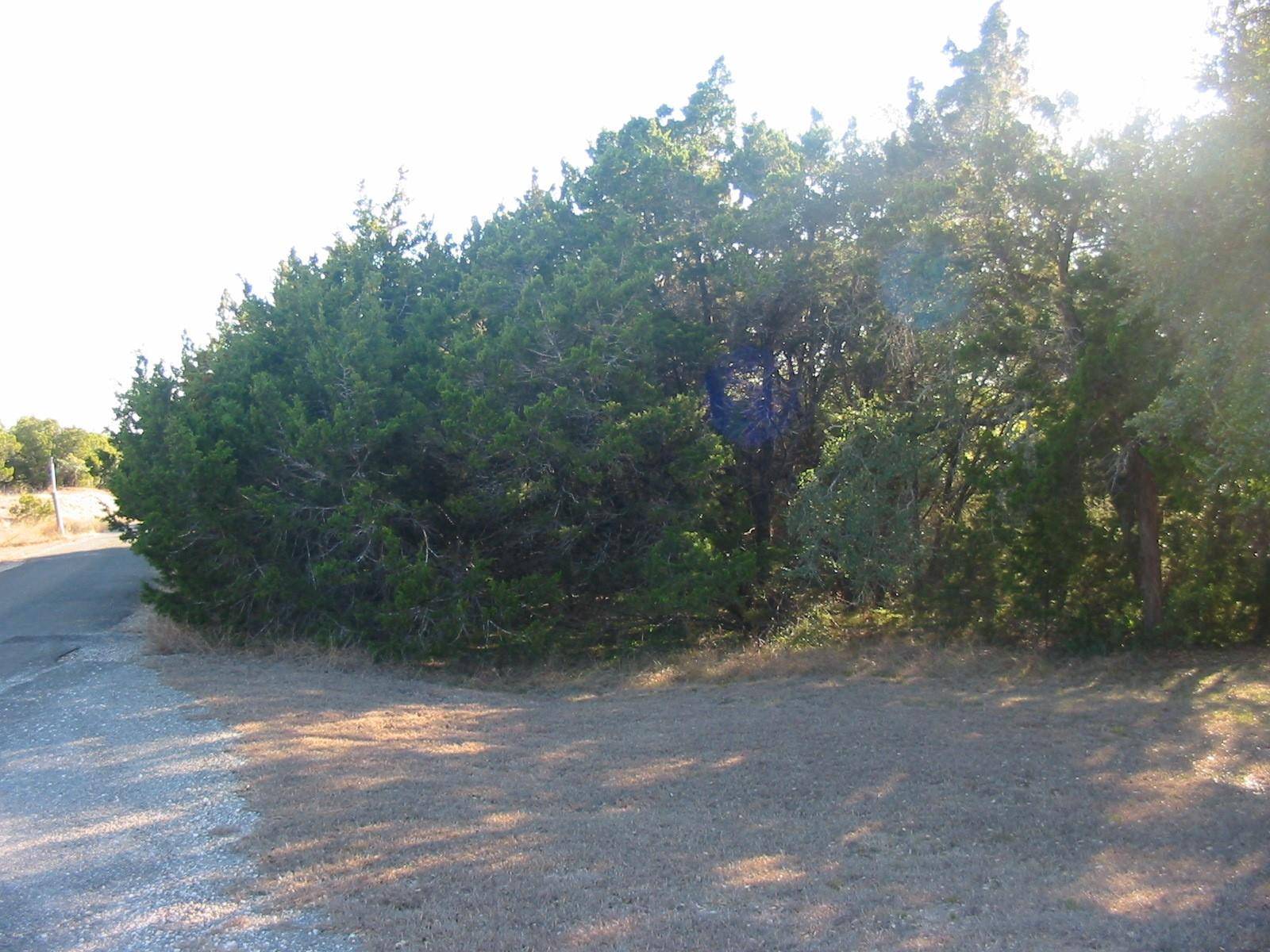 Dripping Springs, TX 78620,9604 Sisk LN