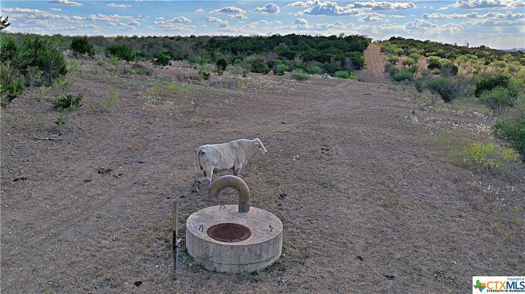 San Marcos, TX 78666,4000 Centerpoint RD